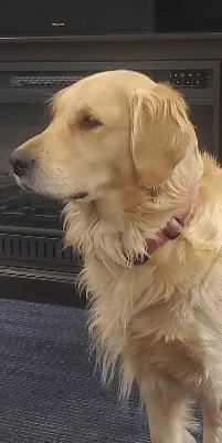 Gallery photo: 193509 Gallery