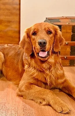 Gallery photo: Photo Feb 10 2026, 8 56 40 PM