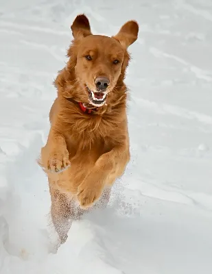 Gallery photo: Photo Feb 10 2026, 9 07 50 PM