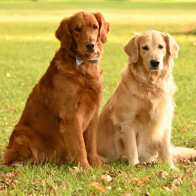 Gallery photo: Zeke Ima