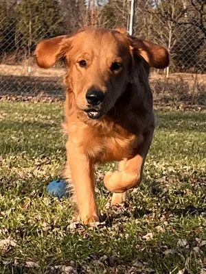 Gallery photo: gabe running