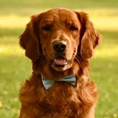 Gallery photo: Photo Feb 10 2026, 8 55 15 PM