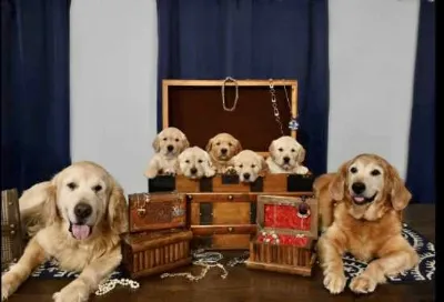 Gallery photo: gideon glory family