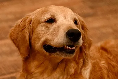 Gallery photo: Photo Feb 10 2026, 8 47 47 PM