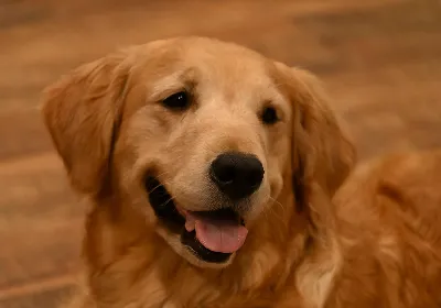 Gallery photo: Photo Feb 10 2026, 8 46 08 PM