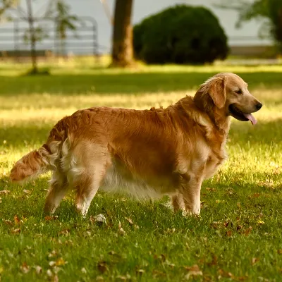 Gallery photo: Kiah 3